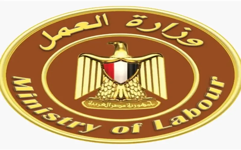 للمؤهلات العليا والمتوسطة.. «العمل» تعلن عن وظائف جديدة للإناث في الإسكندرية